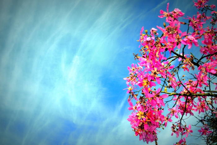 <하나님의 나라>