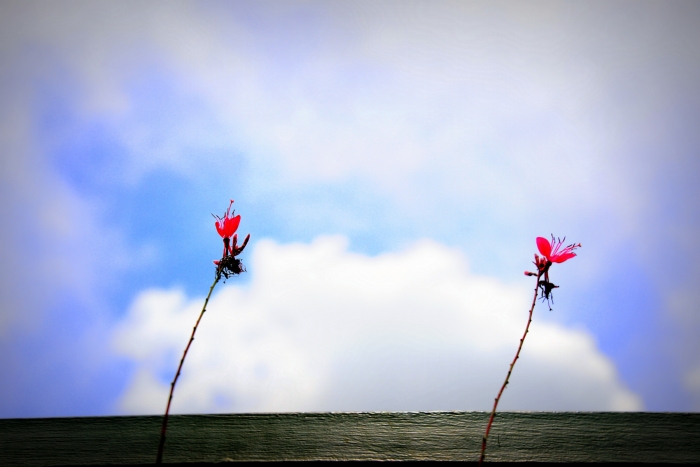 <싸워야 할 대상>