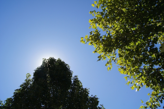 하나님의 회복 8편- 능력을 원하는가? 죽어라~