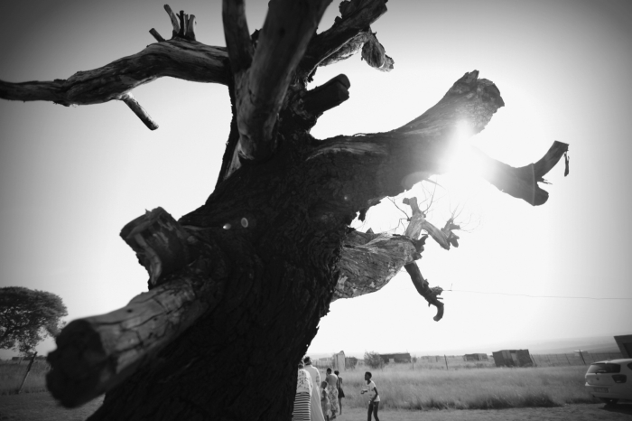 <생수를 만나다>