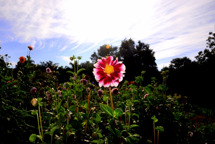 <나를 살리는 길, 세상을 살리는 길>
