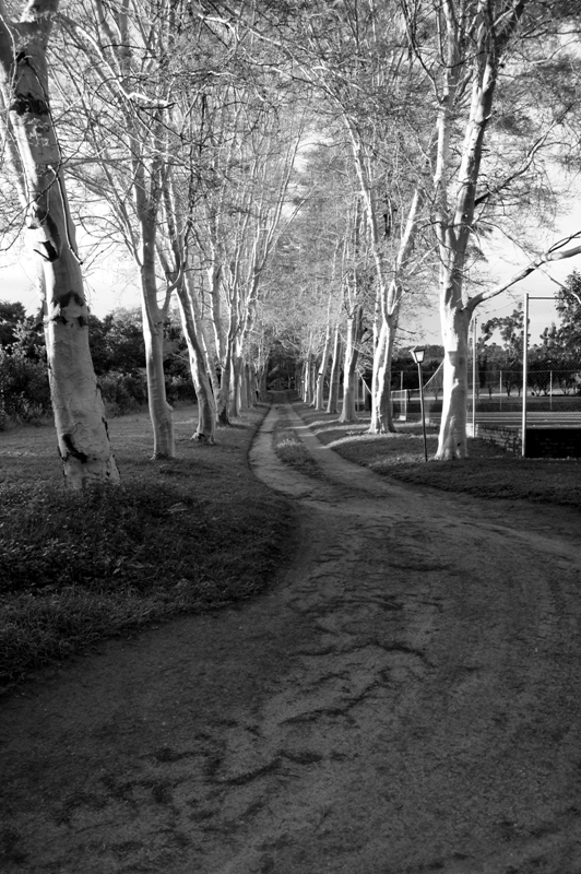 내가 함께 할꺼야~