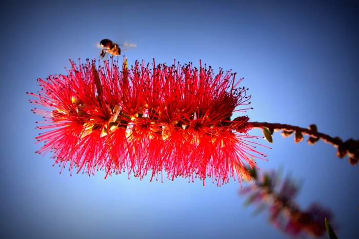 <성령이 임하면>