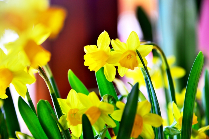 <익숙한 것으로부터의 이별>