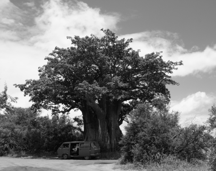 하나님의 회복 11편- 만물! 세상의 회복