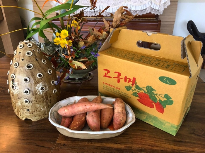 <갓드림 호박 고구마>