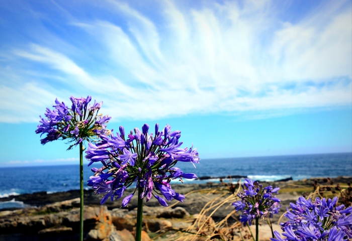 <복음 안에서 변해야 할 우리의 가치 5- 채움>