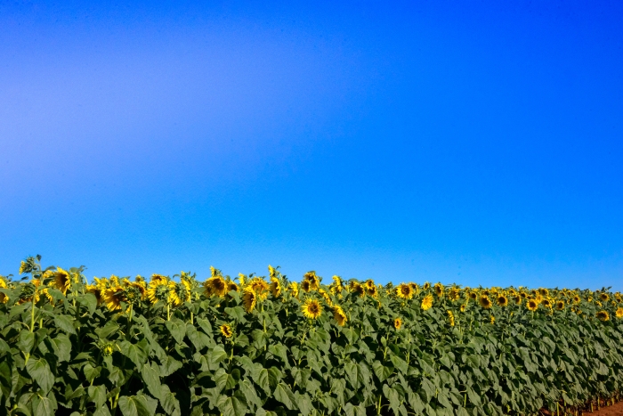 <고난과 부활 그리고 십자가>