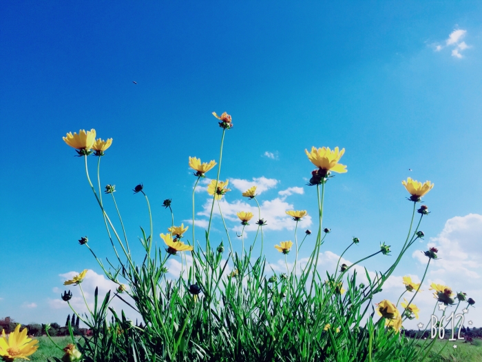 <아내가 그런다…>