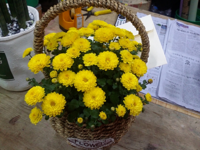 <꽃이 되어 그리스도의 향기를...>