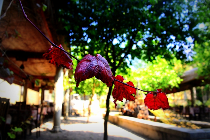 <예수 믿는 이유>