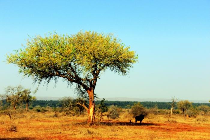 <광야의 싸움은 환경이 아니라 내 감정입니다>