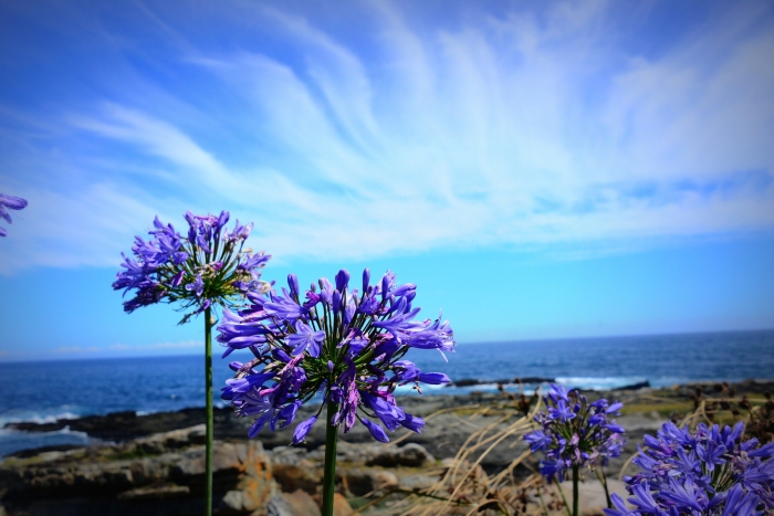 <지팡이를 내 미십시오>