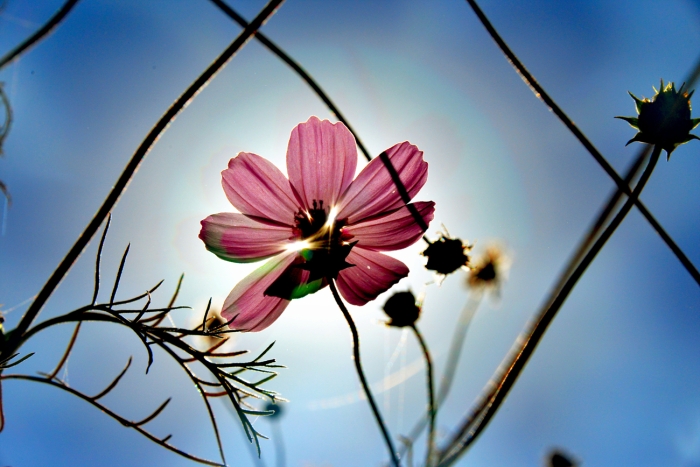 <잘 버티십시오>