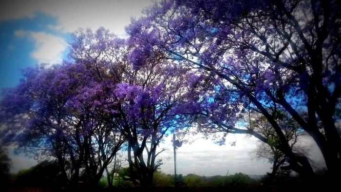 <가장 평범한 일상이 가장 아름답다>