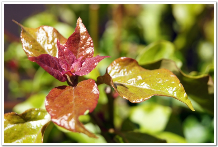 말씀에 열심을 내지 마라