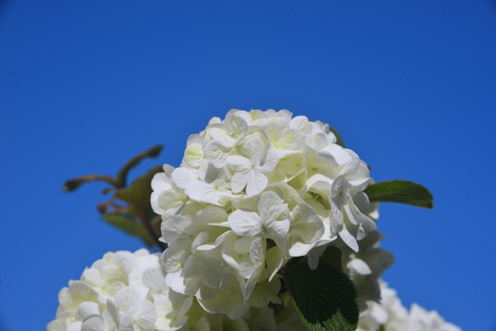 <세상이 우리를 존경하게 하는 방법1>