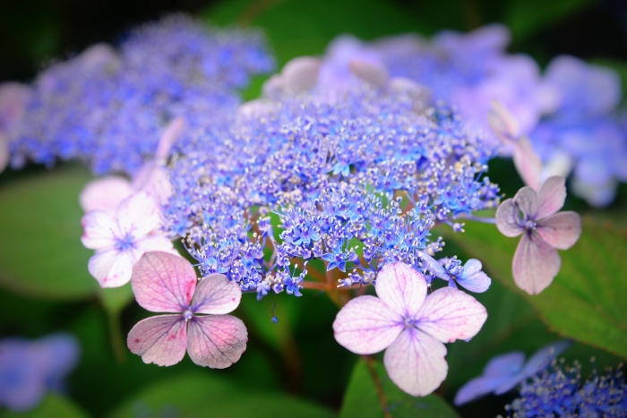 <여호와를 격노케한 이유>