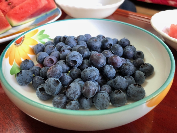 <내 말대로 행하시는 하나님>