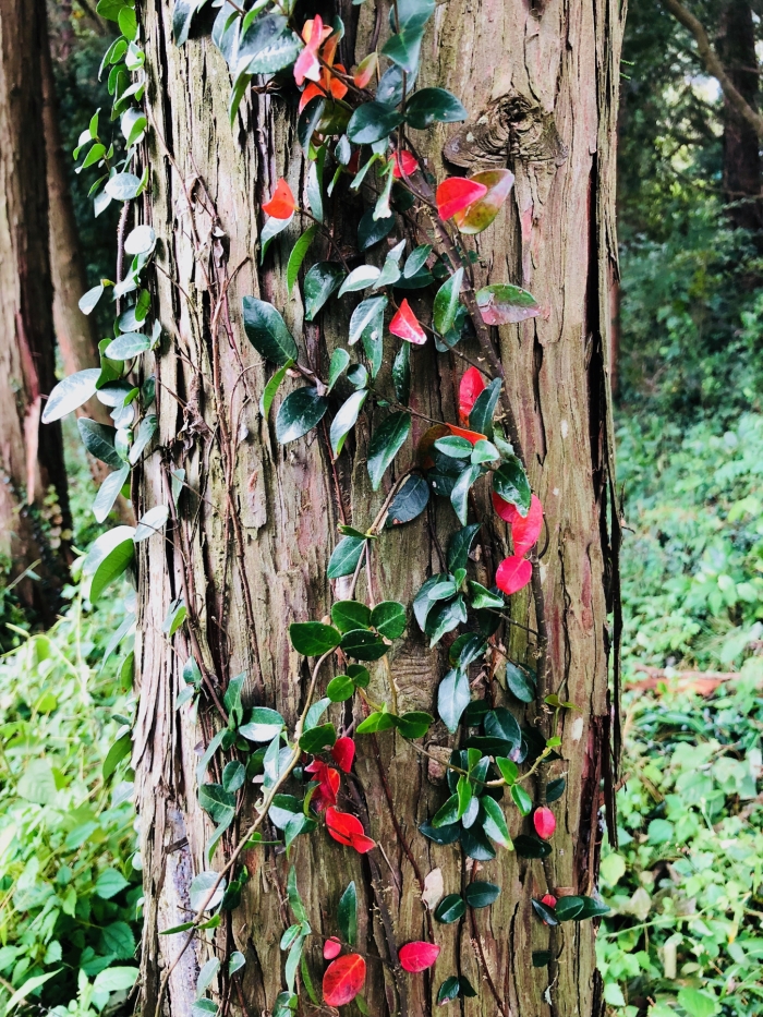 <은혜가 은혜되려면>