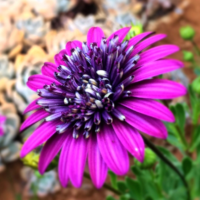 <성령의법칙 5 -증인의법칙>