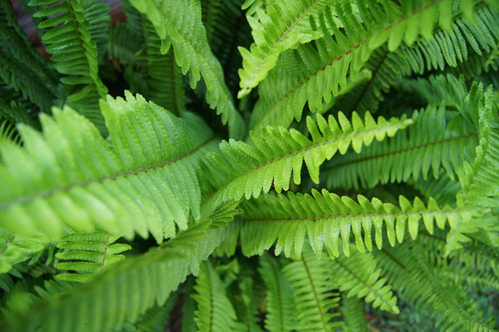 응답받는자 응답하는자