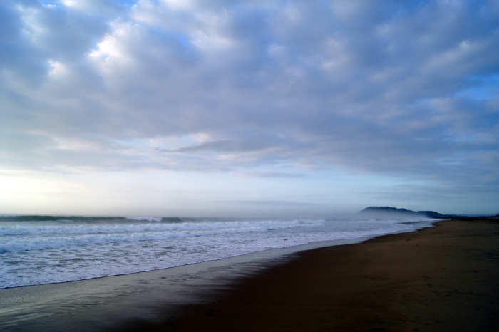 멀리서 보는 초원 가까이서 보는 초원