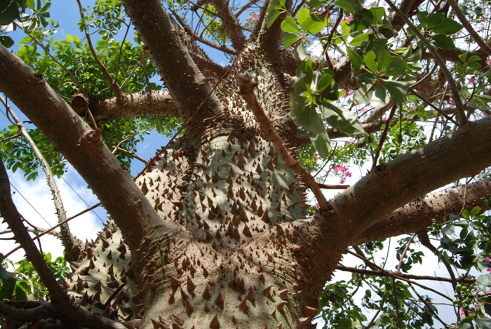 두려움의 실체(눅9:44-48)