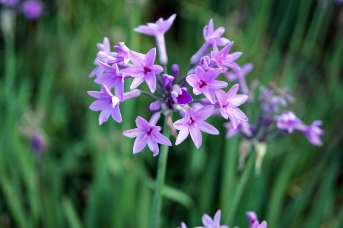 십자가의 걸림돌