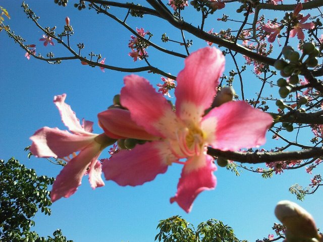 우리가 따라야 할것은 말이 아니라 성령입니다