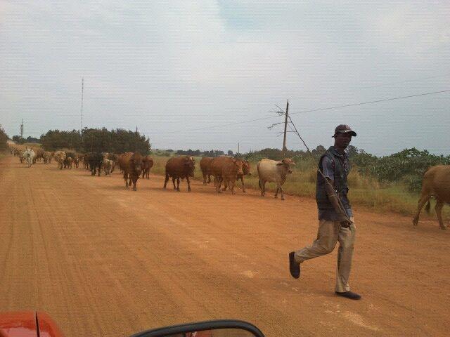 주인에게 마음을 두는 인생