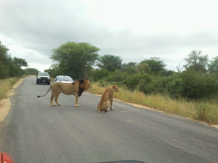 권위를 묻는 사람의 본질