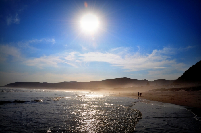 드림 다음은 세움입니다