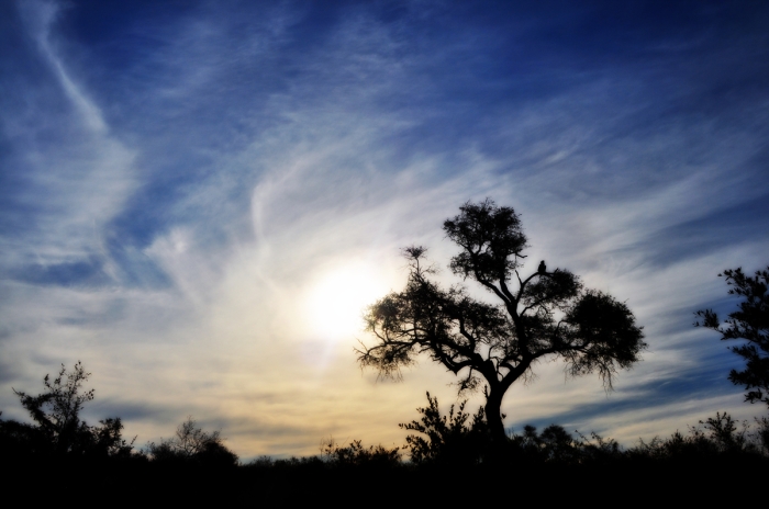 무엇을 따르느냐입니다