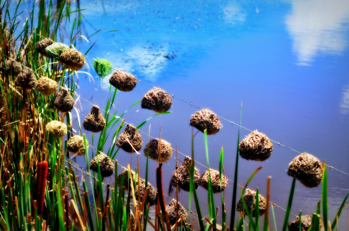 베드로와 엘리야