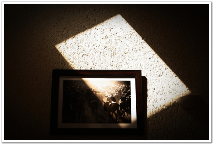 믿음의 반대 말은 의심이 아니라 합리와 이성이다