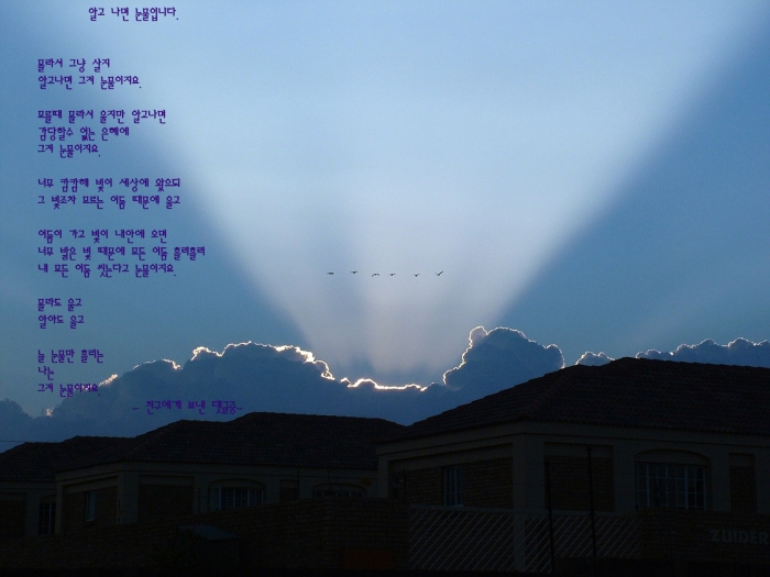 알고 나면 눈물입니다.