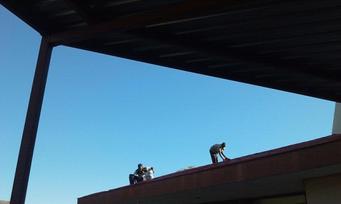 왜와 얼마나의 차이