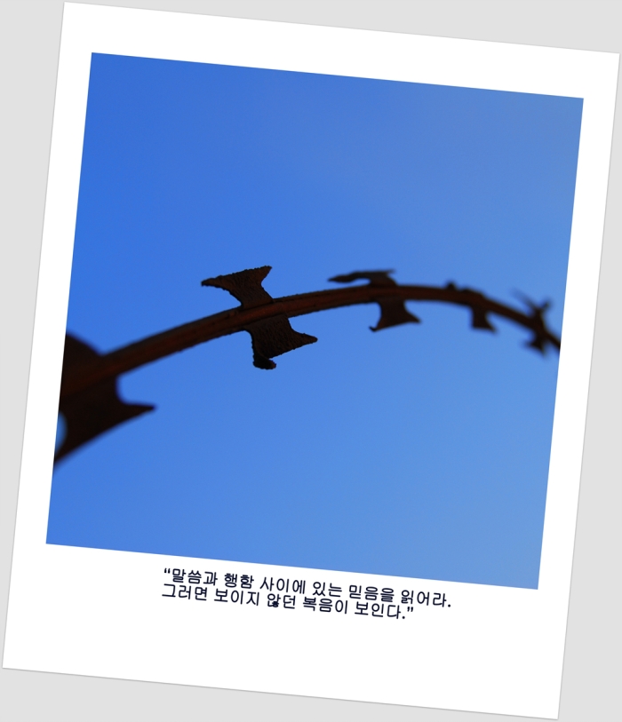 말씀과 행함 사이