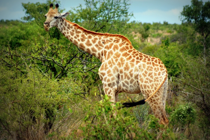 끝까지 사랑하시되