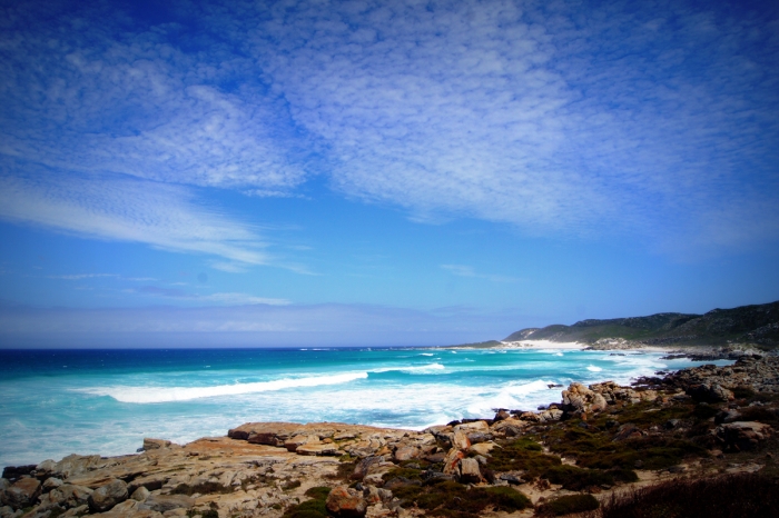 세상에 이용 당하는 사람