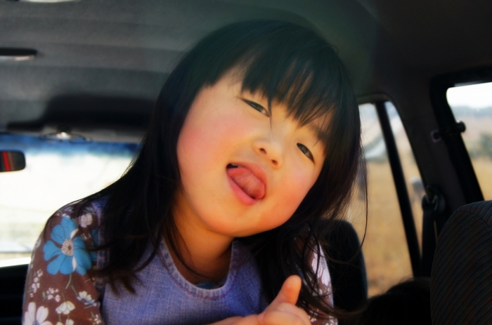 인식적 삶 고백적 삶