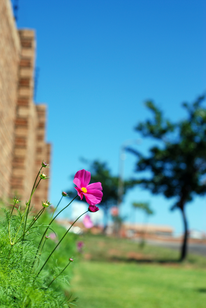 영적성숙, 신앙의 성장이란 무엇인가? 3편(말)