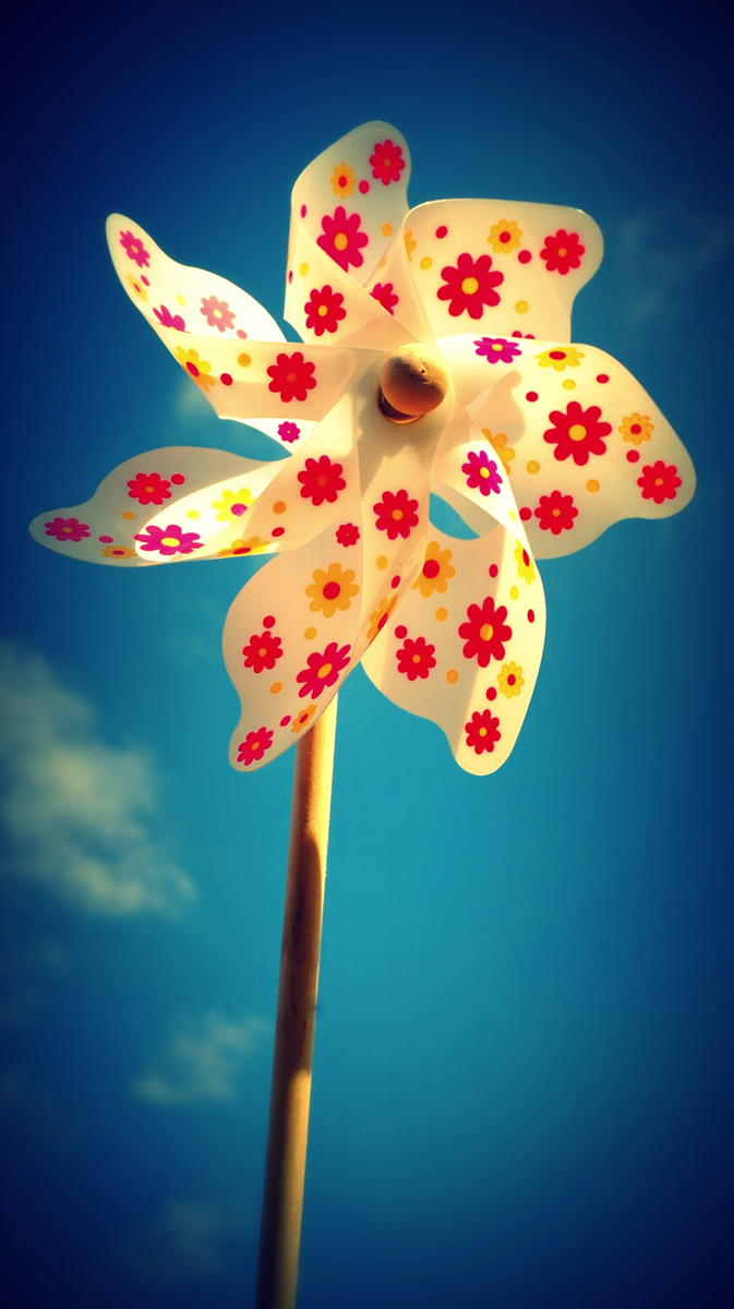 내 꿈을 버려라