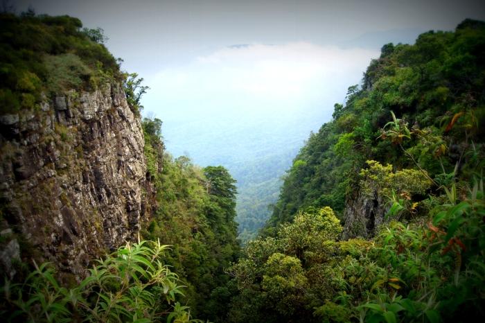 옷 벗김을 당한 이유