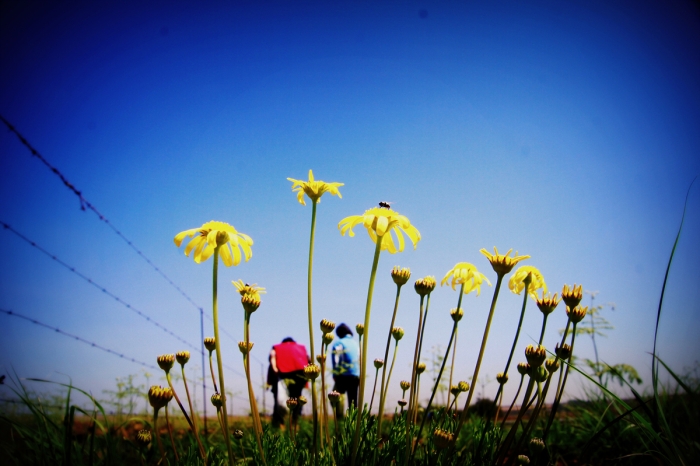 믿음! 전부를 얻는 하늘의 단어