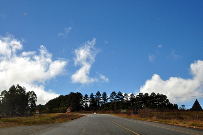난 아프리카에 가고싶다