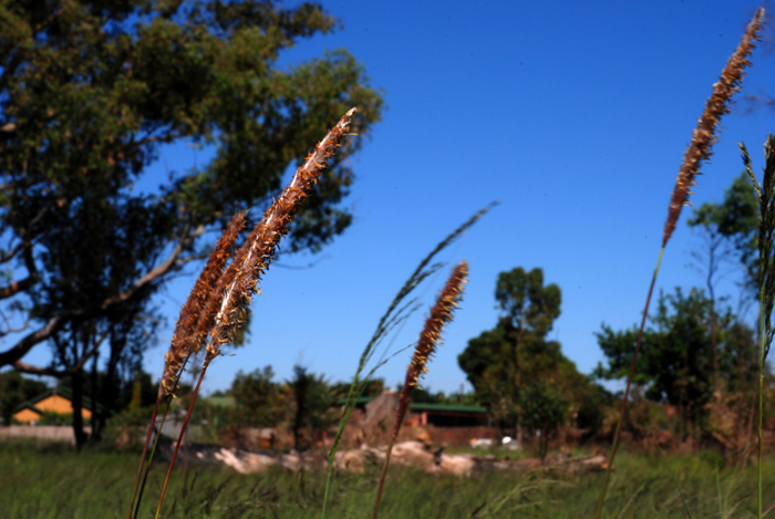 <내가 살아 있다는 것>