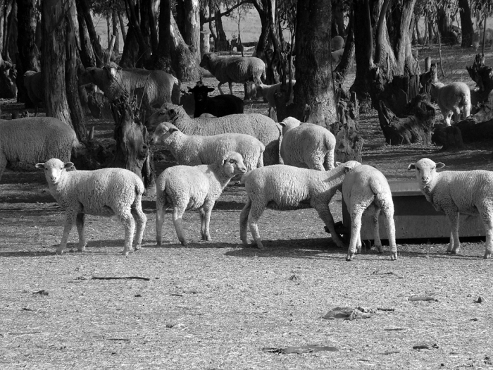 내가 더 소중하다