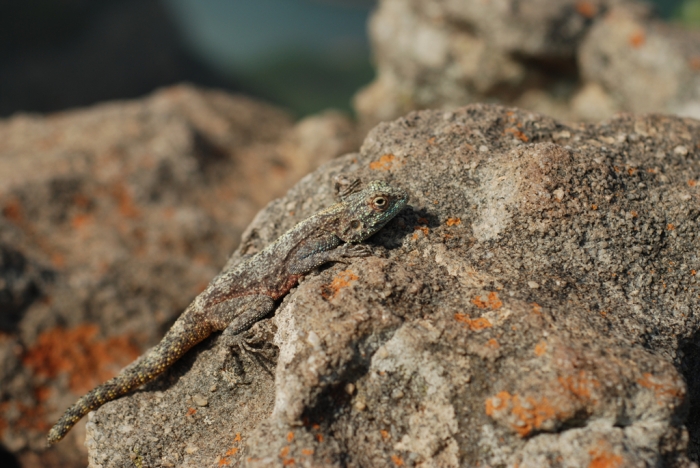 세상이 우리에게 접근하는 방법들